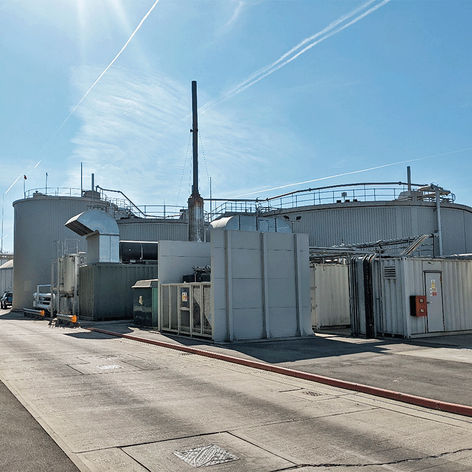 Biomass waste treatment plant