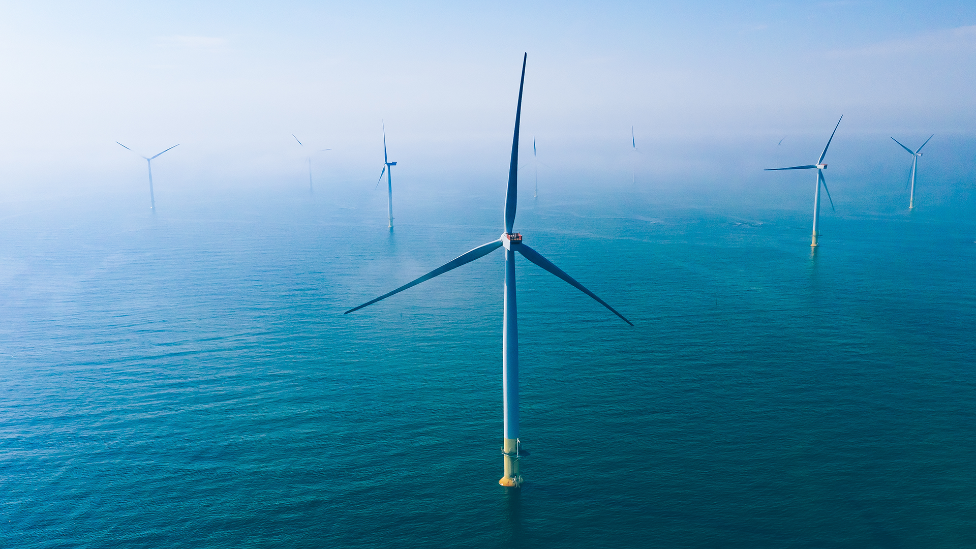 North Sea offshore wind farm