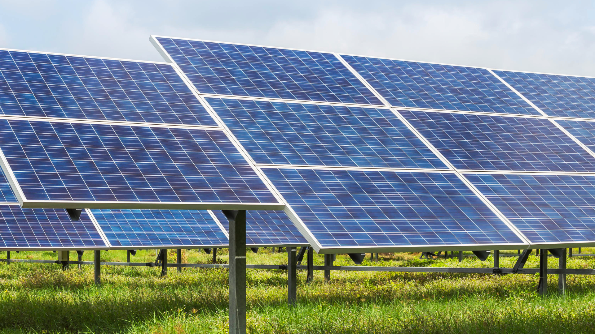 Solar panels and green grass